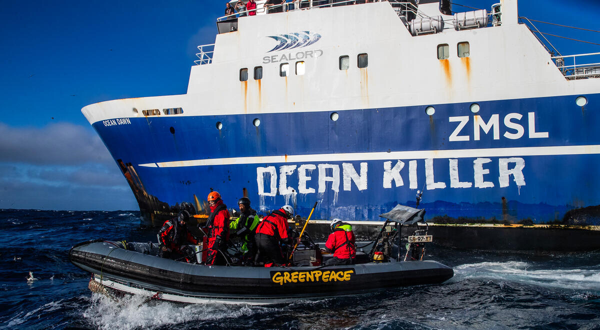 thekermadecs's tweet card. For a second time, Greenpeace Aotearoa activists have confronted a bottom trawler off the East Coast, rebranding it an “ocean killer” in protest at its destructive fishing activities.