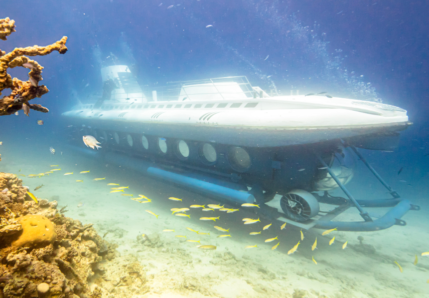akefford's tweet card. For tourists aboard the Sindbad, the final moments of their planned jaunt below the waves will have been a hellish, adrenaline-fueled lunge for survival. Six Russian tourists, including two children,...