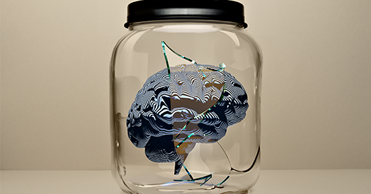 _TheTransmitter's tweet card. Brain function is inexorably shaped by the body. Embracing this will benefit computational models of real brain function and the design of ANNs.
