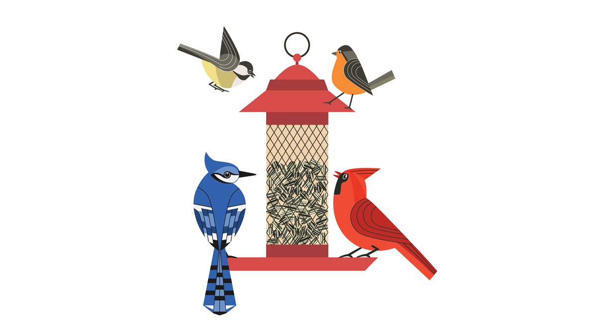 AU_SIS's tweet card. Avian advocate Jamie Bussey works on behalf of our fine-feathered friends