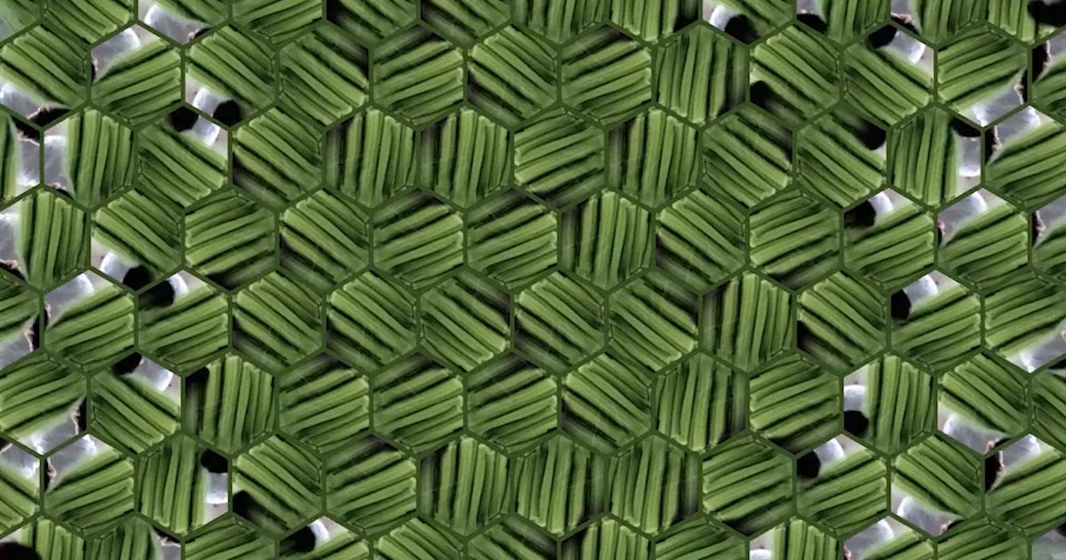 edcreativecoder's tweet card. As a creative coder, I delve into the exciting world of generative art. My visuals dynamically react to their surroundings, offering ever-changing and mesmerizi…