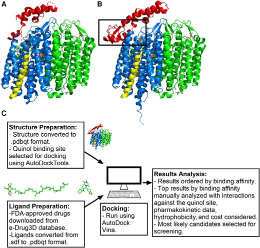 ShepherdLabKent's tweet card. Computational and microbiological techniques were used to identify the steroid drug quinestrol as an inhibitor of cytochrome bd respiratory complexes from