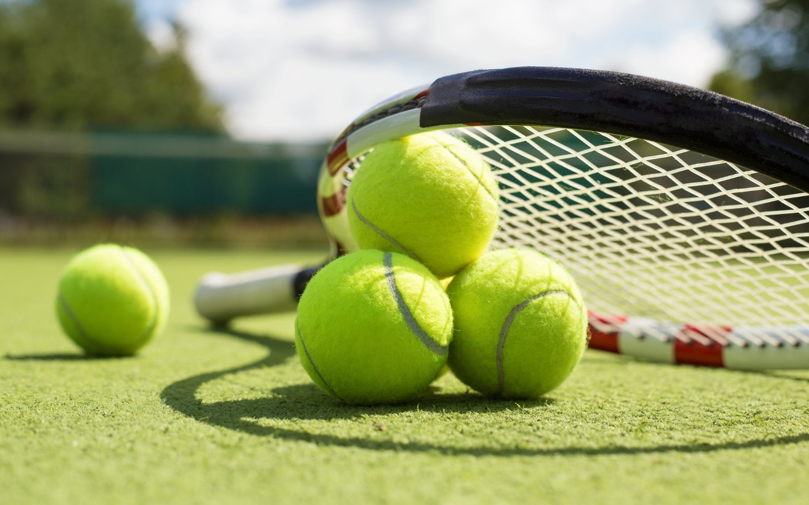 StuffSA's tweet card. The Wimbledon tennis tournament in 2025 has brought us familiar doses of scorching sunshine and pouring rain, British hopes and despair...