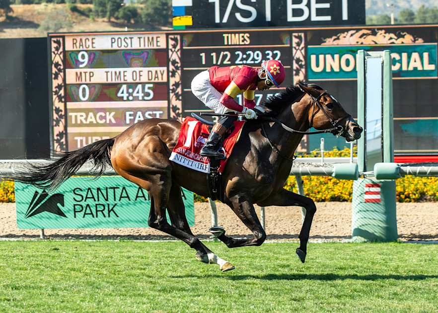 SAPublicity's tweet card. Nitti Blows By Rivals In The Stretch To Win Stakes Debut In Sunday’s GIII, San Juan Capistrano Stakes On Closing Day Of The Hollywood Meet At Santa Anita