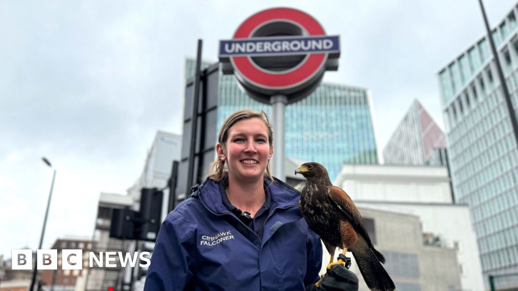 BBCLondonNews's tweet card. Commuters were unaware a Harris's hawk was travelling with them on its way to its first major job.