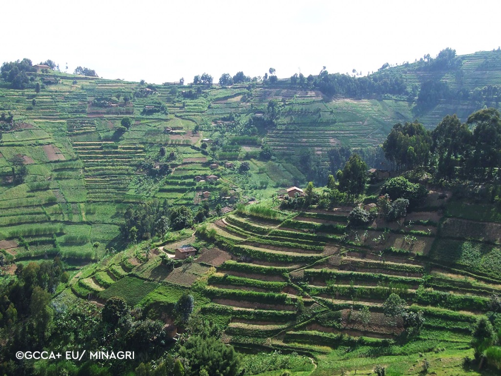 ChroniclesRW's tweet card. A recent nationwide study has revealed serious weaknesses in the way land committees are functioning across the country. Meant to serve as a bridge between communities and local authorities on...