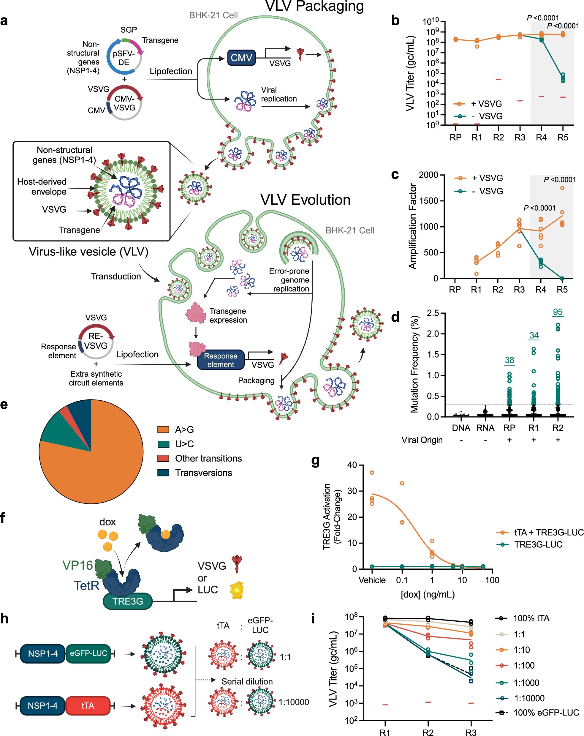 Neely_Lab's tweet card. Nature Communications - Directed evolution is a process of mutation and artificial selection to breed biomolecules with new or improved activity. Here the authors develop a directed evolution...