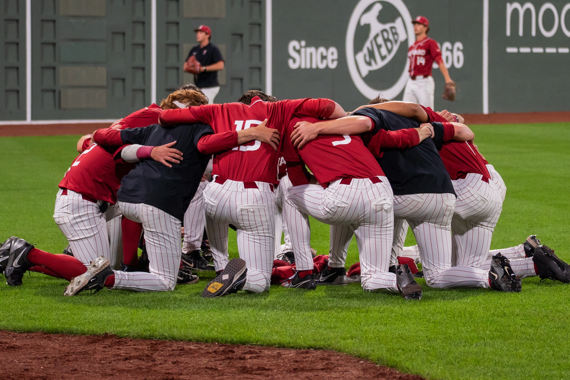 THCSports's tweet card. Harvard Baseball Clinches Ivy Tournament Spot After Win Over Princeton, Yale Sweep of Dartmouth | Sports | The Harvard Crimson