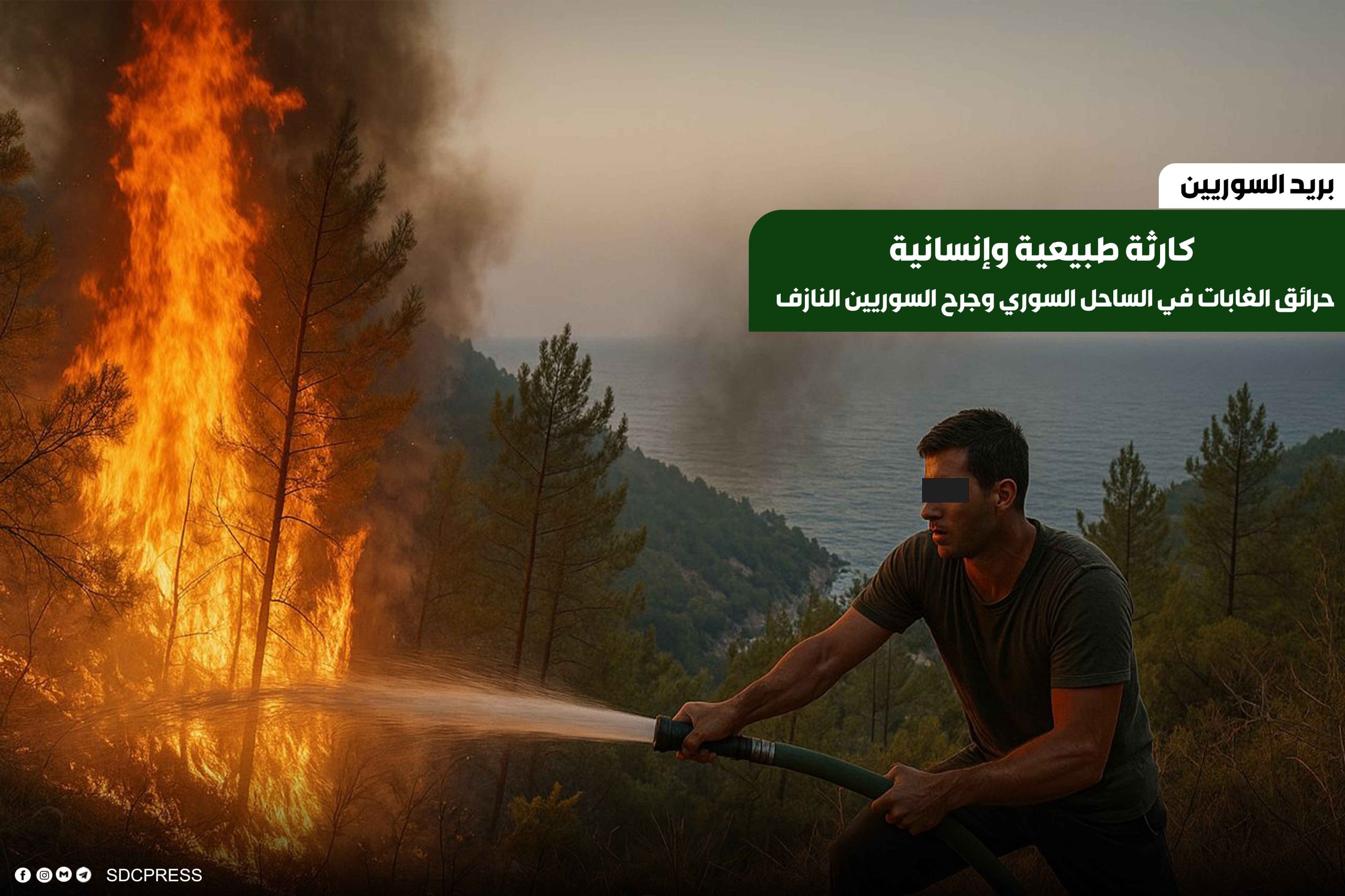 SDCPressT's tweet card. "لم يبقَ شيء في غابات الساحل السوري. حتى ذكرياتنا احترقت كما الزيتون والليمون وأشجار الصفصاف... كل شيء أصبح رمادًا". قد