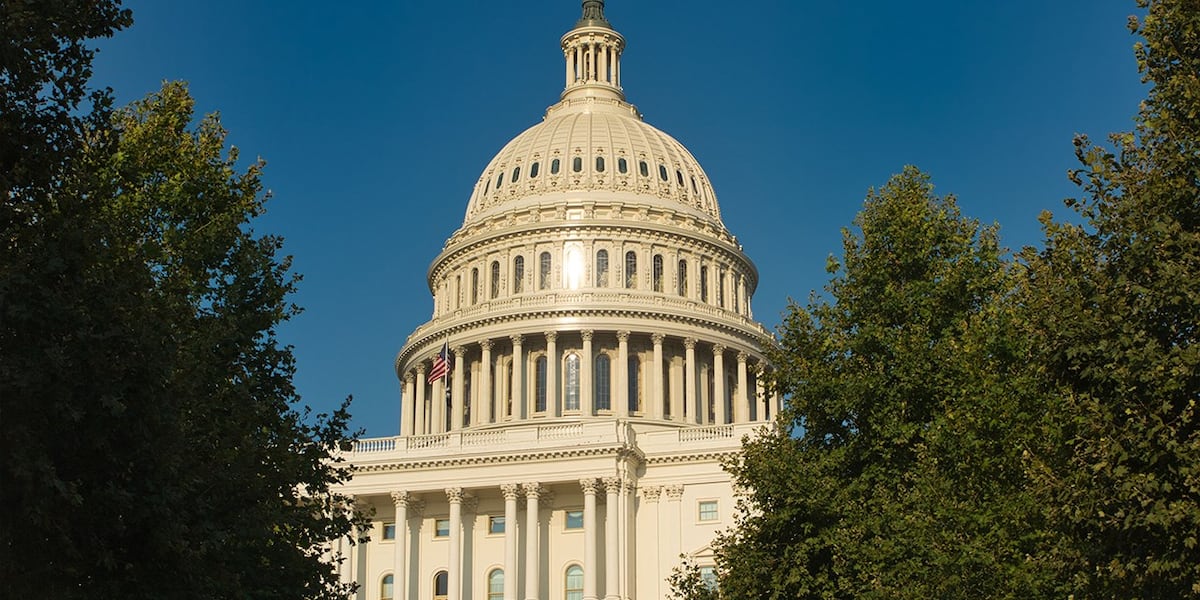 maxcottontv's tweet card. Fallout continues from the U.S. airstrikes on Iran, President Donald Trump is expected to attend the NATO Summit and Congress works on the "big, beautiful bill."