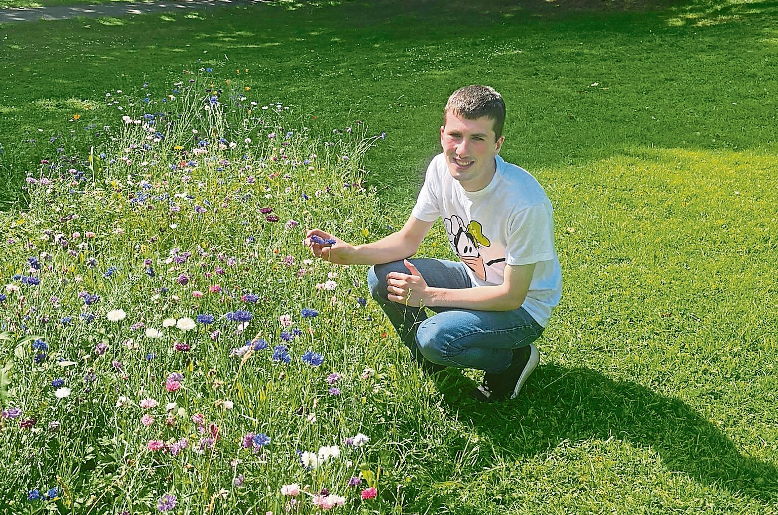 we_are_tyrone's tweet card. Eight designated areas including Grange Park and St Julian’s Park in Omagh were sown with specially selected flower seed mixes