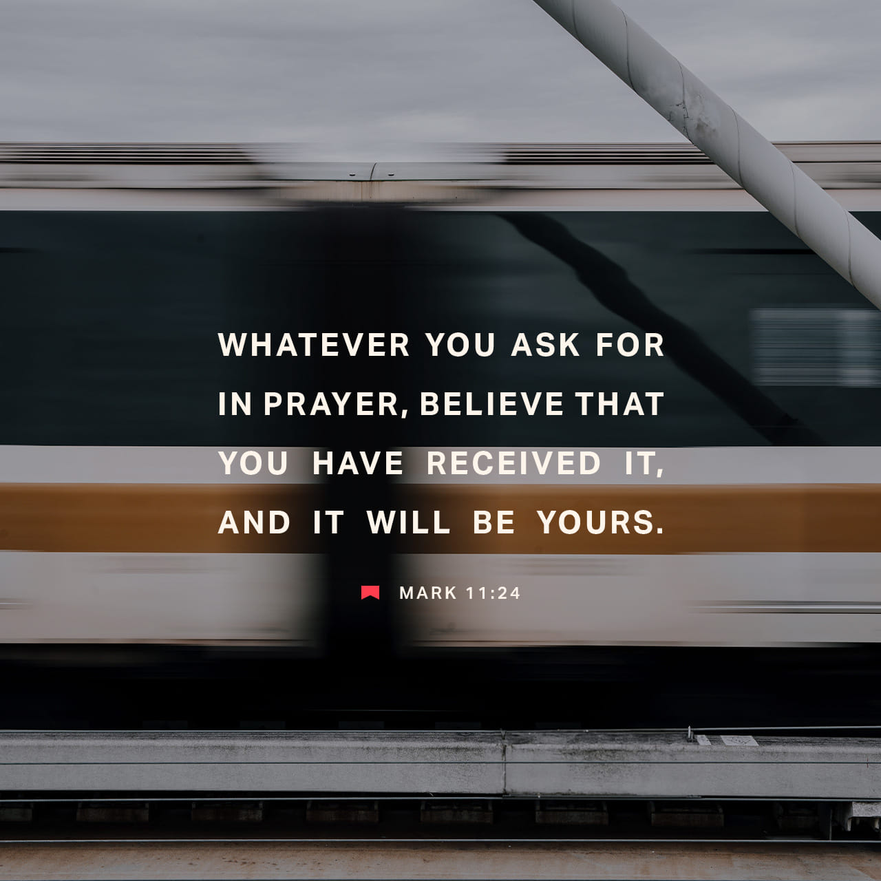 McCowanWinston's tweet card. Therefore I tell you, whatever you ask in prayer, believe that you have received it, and it will be yours.