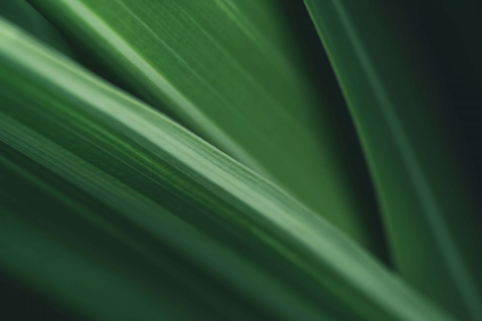AurouxLucas's tweet card. PhD candidate, Lucas Auroux, has recently published a chapter in ‘Guide to Plant Single-Cell Technology’, providing the first, up-to-date, detailed comparison of different approaches to studying...