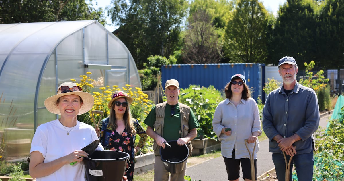 KOSullivanIT's tweet card. From urban community gardens and ambitious rural tree-planting to sustainability initiatives involving whole towns, the chase is on for this year’s bragging rights