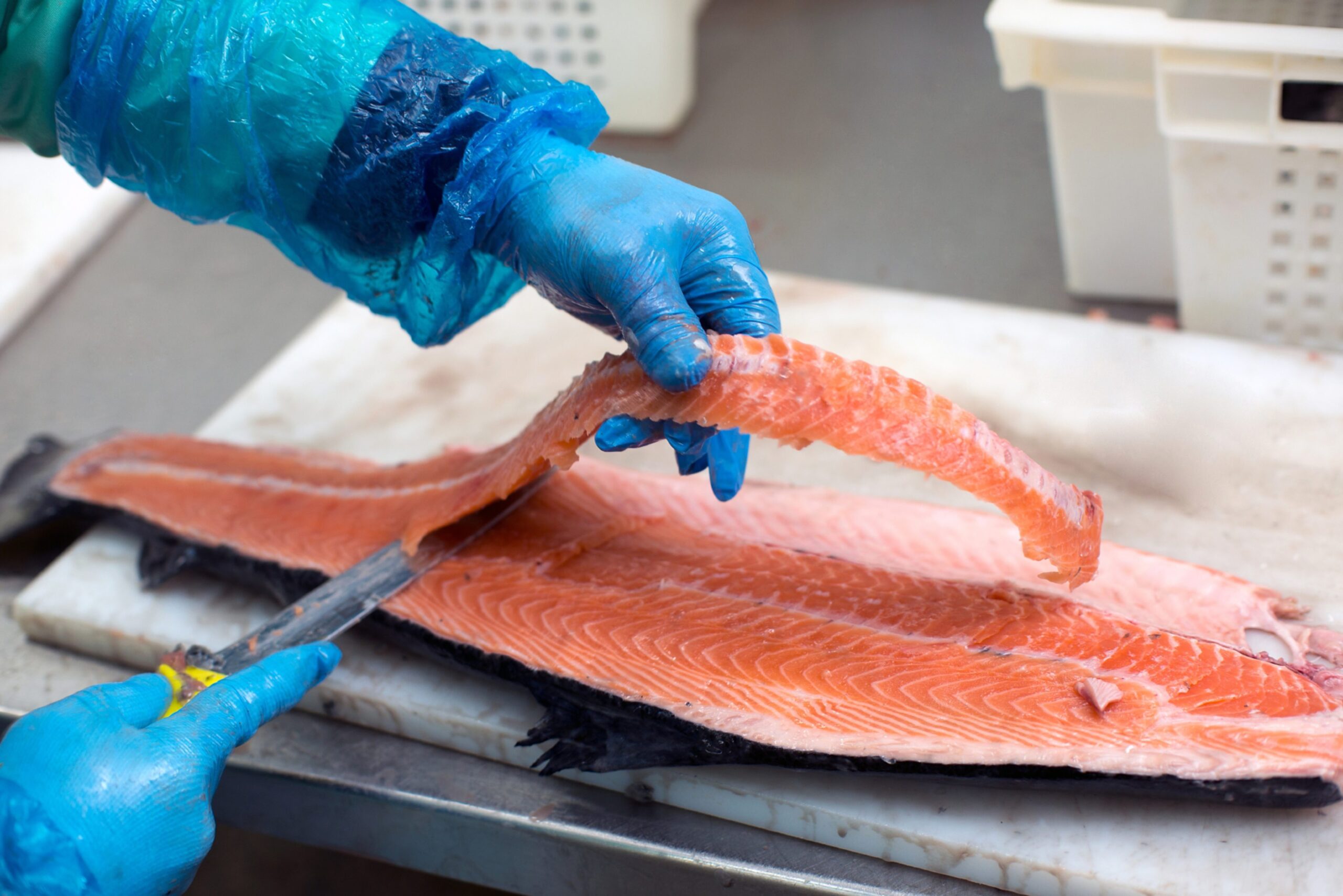 ladymcbeth2's tweet card. A major report into working conditions at the world’s biggest salmon producer, Mowi, has revealed shocking claims.