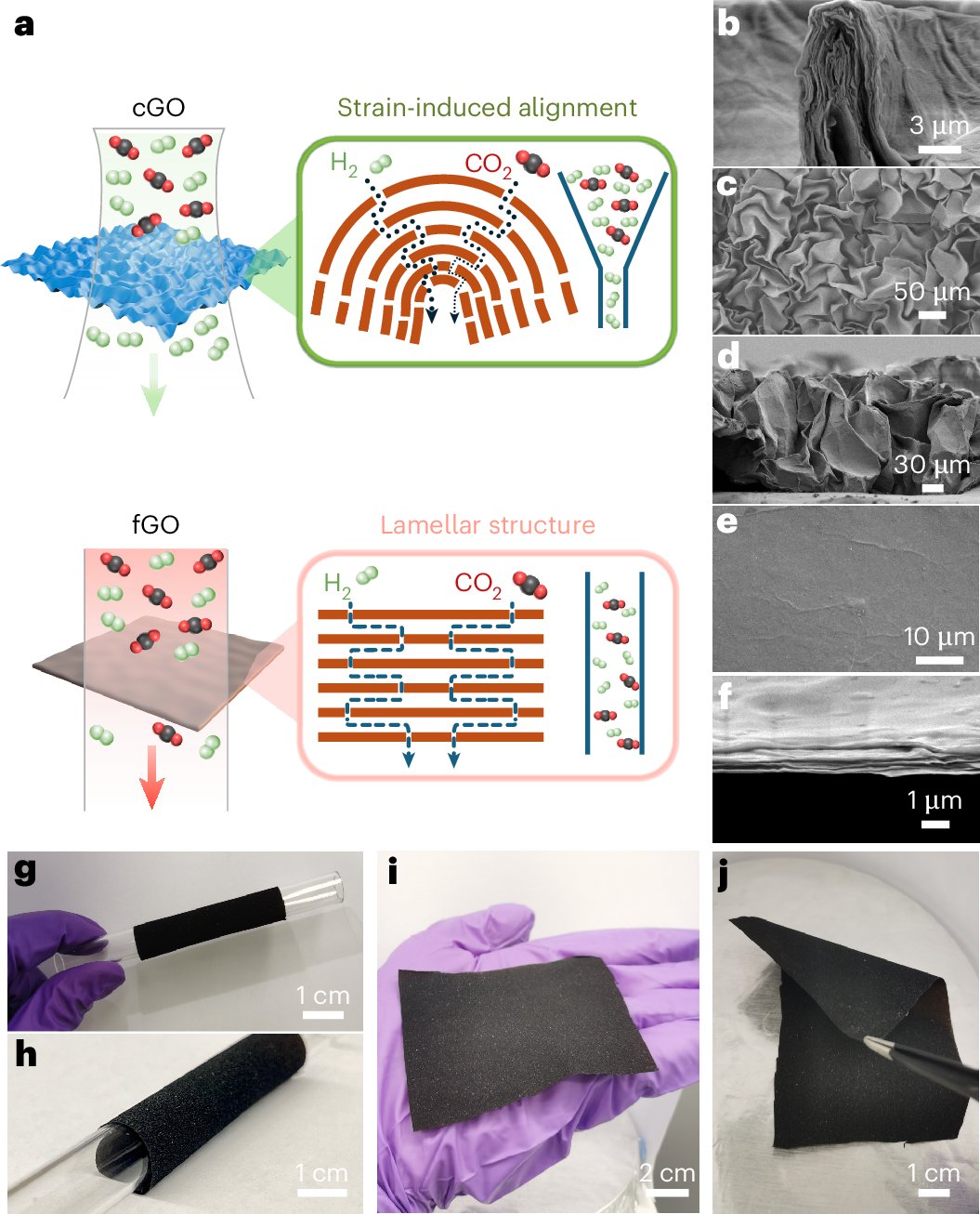 NatureNano's tweet card. Nature Nanotechnology - Crumpled graphene oxide (GO) membranes achieve much higher H2 permeability than flat lamellar GO membranes, and their H2/CO2 selectivity of 91 outperforms those of most...