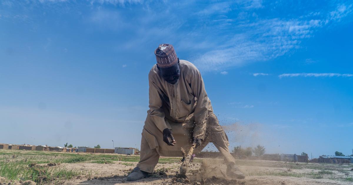 CICR_Paris's tweet card. Nord-est du Nigéria : la faim s’aggrave tandis que les agriculteurs des régions en proie au conflit...
