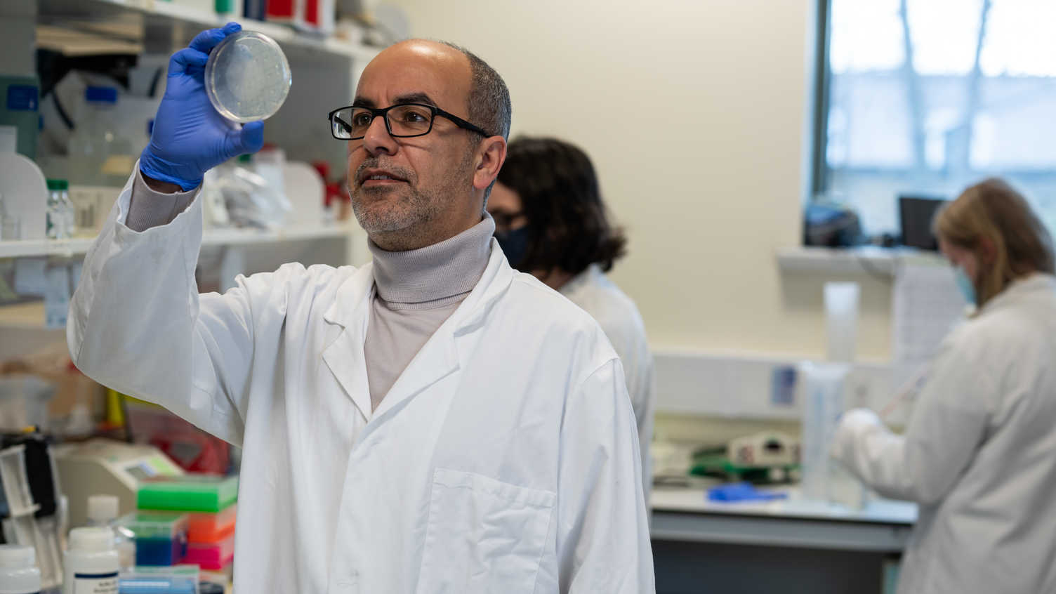 neuroshef's tweet card. Professor Mimoun Azzouz discusses career challenges before opening the Gene Therapy Innovation and Manufacturing Centre (GTIMC) at the University of Sheffield.