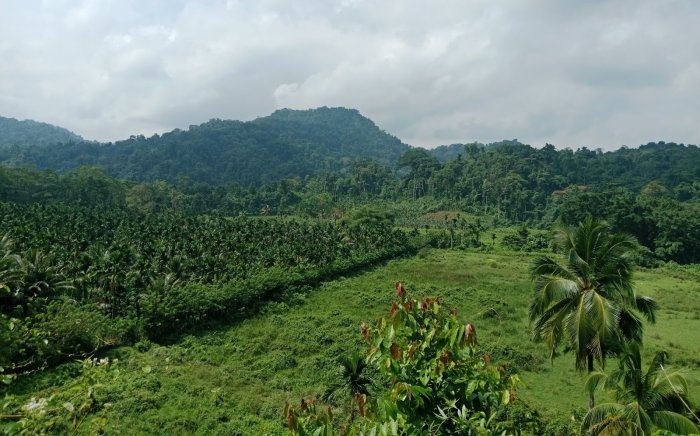 Article14live's tweet card. India’s top wildlife and biodiversity institutes tasked with assessing the environmental impact of a Rs 81,000-crore project on the Great Nicobar Island worked under intense pressure to deliver...