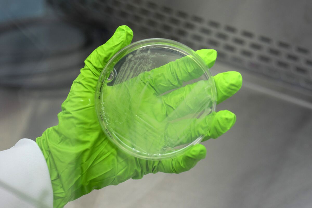 AMRActionFund's tweet card. Hi, it’s Lisa in London, where I’ve been learning about a nasal gel that can kill bacteria in a Petri dish in under 15 minutes. It has the potential to help stop the spread of superbugs — but...