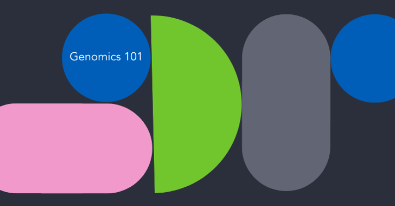 GenomicsEngland's tweet card. In this series, ‘Genomics 101’, we go back to basics and explore some of the most important topics in genomics. In this blog, we talk through the…