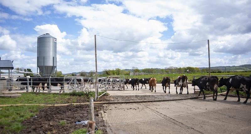 NFUtweets's tweet card. The NFU has welcomed Müllers' investment of £45m in its Skelmersdale site, including an incentivised Müller Advantage programme for Müller Direct Skelmersdale supplying farmers. The union has also...