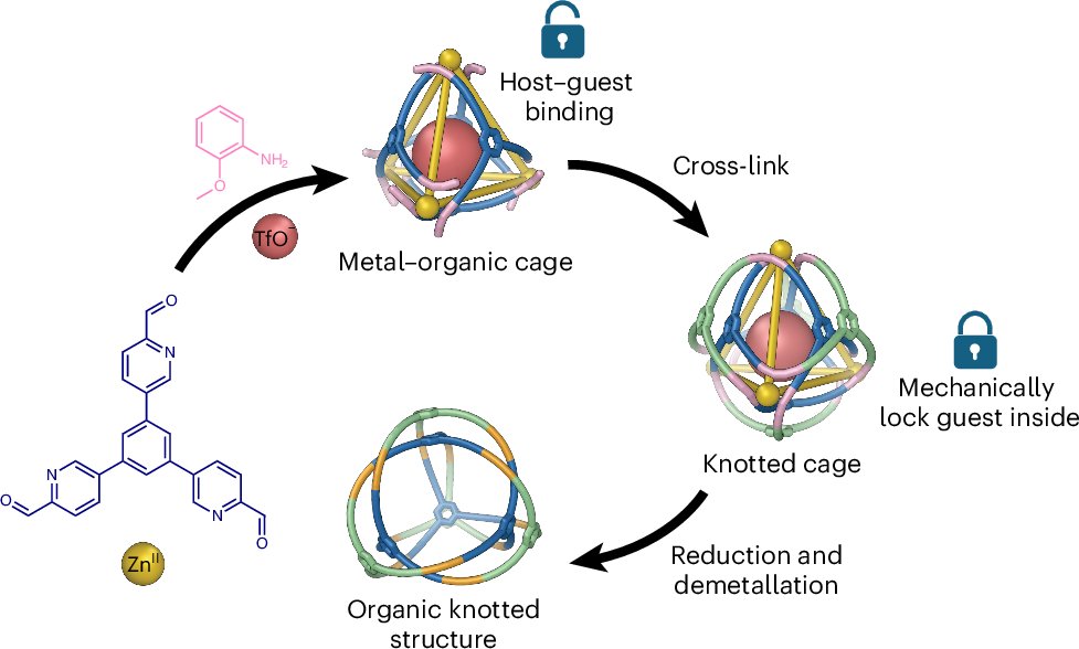 NatureSynthesis's tweet card. Nature Synthesis - Synthesizing topologically complex interwoven molecules with high yield remains challenging due to structural preorganization demands. Here face-bridging ligands on...