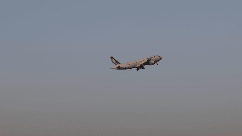 MYSAVVYTRAVELER's tweet card. The airline said the decision to return to Paris was made for 'operational reasons.'