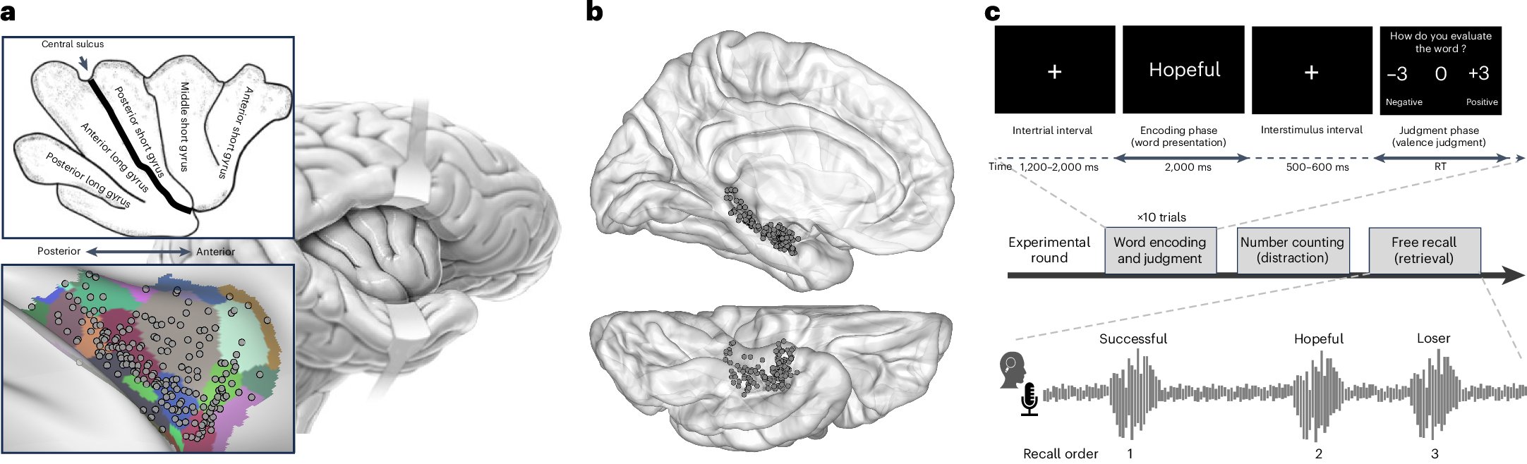 NatureNeuro's tweet card. Nature Neuroscience - The hippocampus and insula communicate when processing emotional memories. Discrete sites in the human insular cortex showed changes that predicted later memory recall, while...