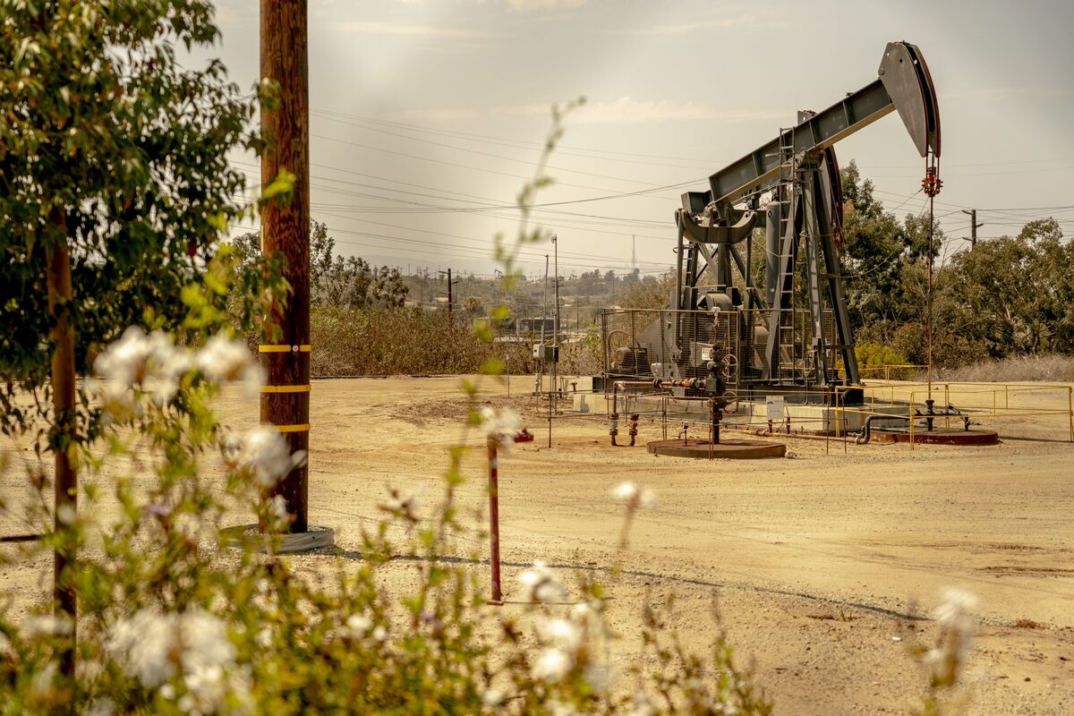 DavidWethe's tweet card. The US sees domestic crude production declining next year for the first time since 2021 in a blow to US President Donald Trump’s push for American energy dominance.