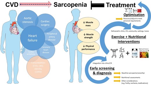 KostasProko's tweet card. Abstract. This document aims to review current scientific evidence on exercise and nutrition as a treatment for sarcopenia in the context of cardiovascular