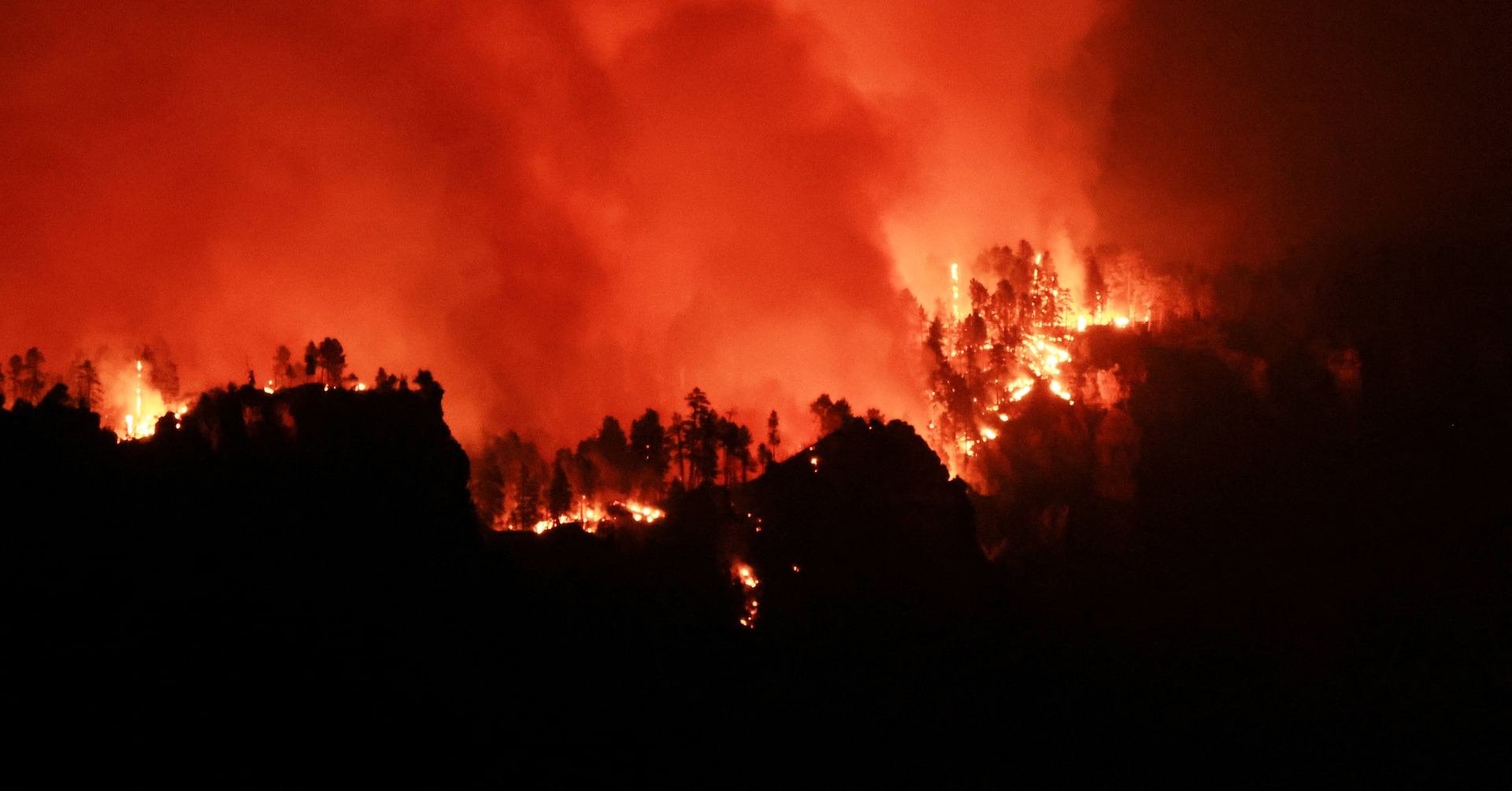 JesseFFerguson's tweet card. The U.S. Forest Service faced criticism from current and former employees who say federal workforce reductions under the Trump administration have left fire teams understaffed, as the country...