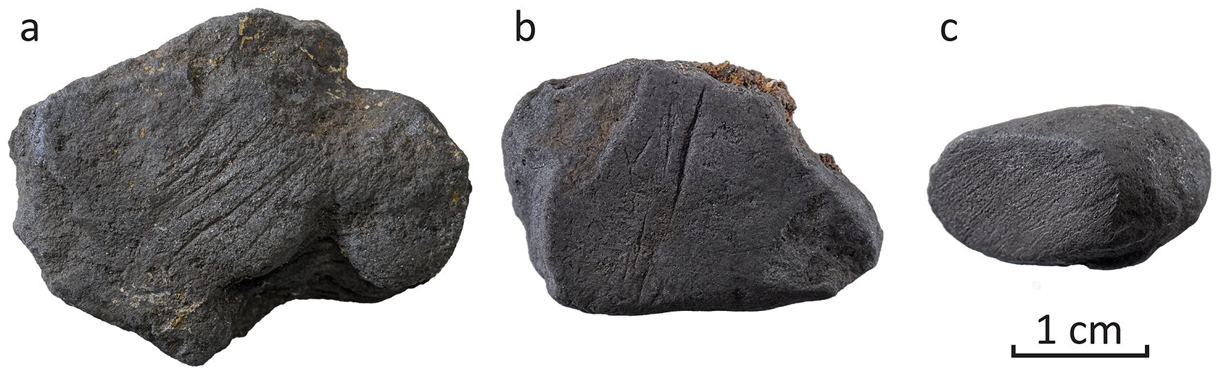 Pyropithecus's tweet card. Archaeological and Anthropological Sciences - Late Middle Palaeolithic Neandertals in France are known to have engaged in the collection and grinding of black minerals rich in manganese dioxide...