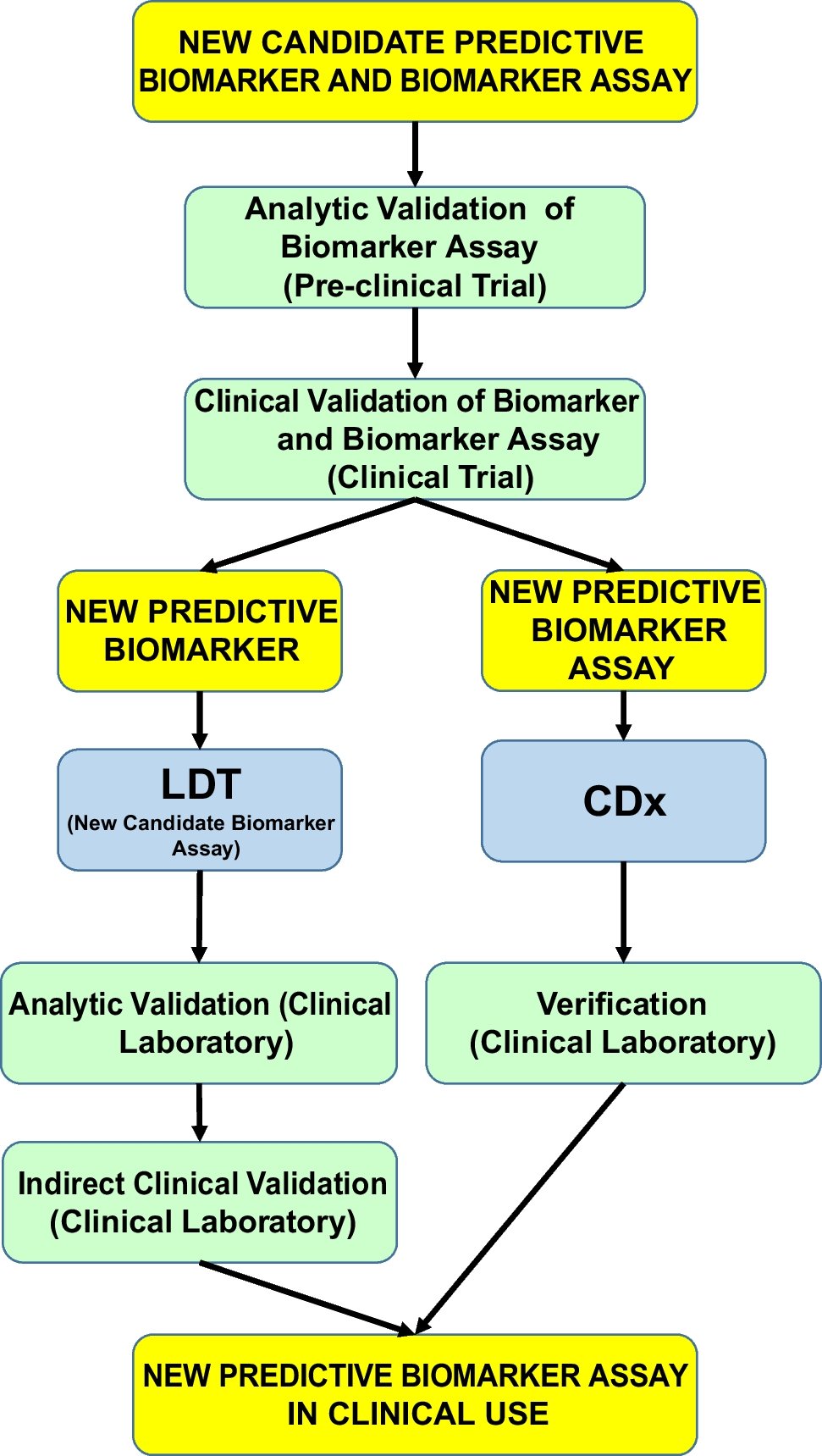 SpringerPath's tweet card. Virchows Archiv - Validation of biomarker assays is mandatory not only for their applications in clinical trials but also for their subsequent transfer to clinical laboratories in routine clinical...
