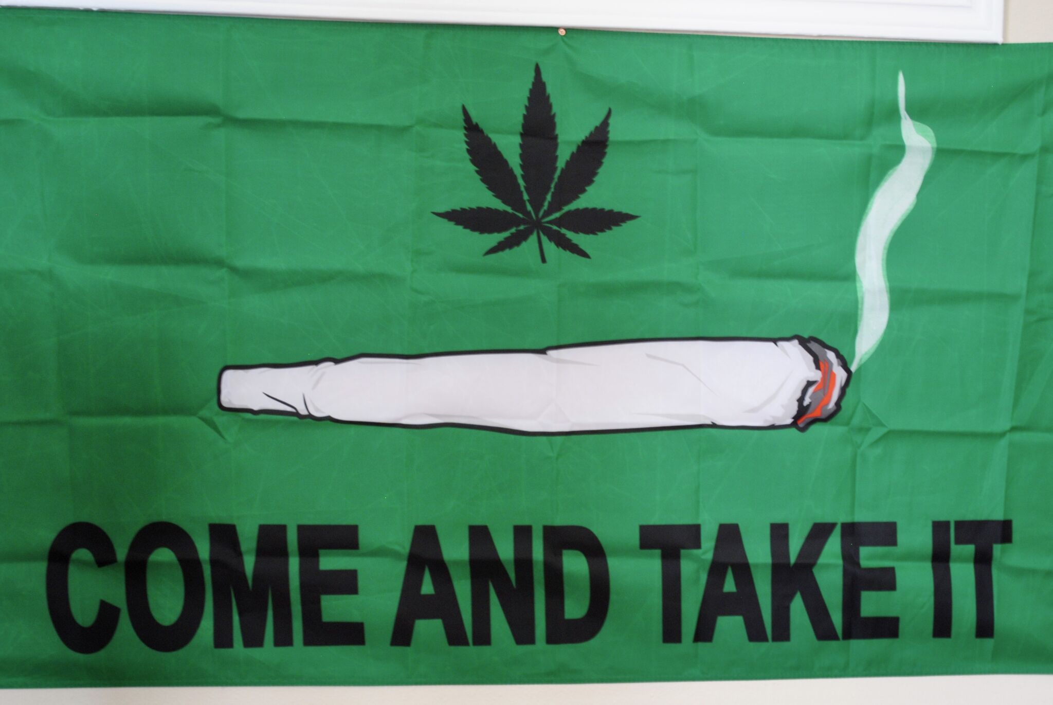 Taylor_Kamn's tweet card. A cannabis revolution is taking San Antonio by storm.