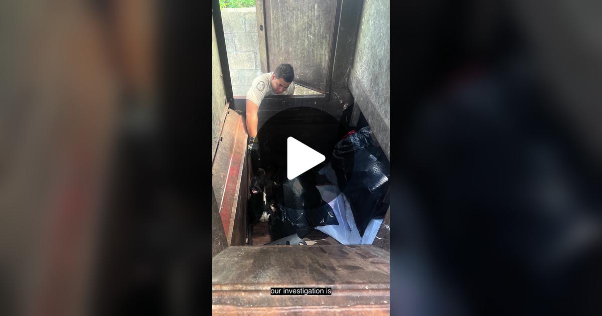megforflorida's tweet card. 68.1K likes, 2505 comments. “A BAD HUMAN put a dog in a trash compactor 😭 in Daytona Beach and luckily a local FWC officer was nearby & notified to save him in time!!! . . I was honored to team up...
