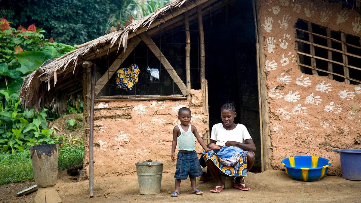YaleE360's tweet card. Plagued by illegal logging and corruption, Liberia has been losing its forests at an alarming rate. But its new strategy to make direct payments to communities that agree to prohibit cutting and...