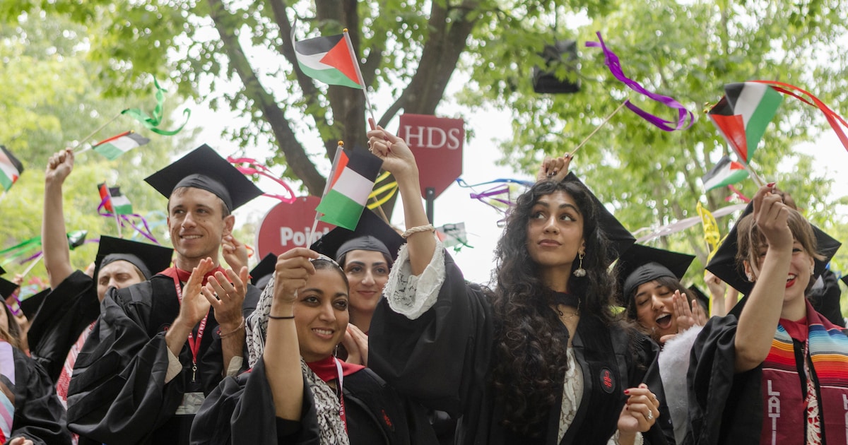 DCSZ14's tweet card. De acties van Trumps regering om pro-Palestijns geluid aan Amerikaanse universiteiten te onderdrukken, lijken het script te volgen van Project Esther.