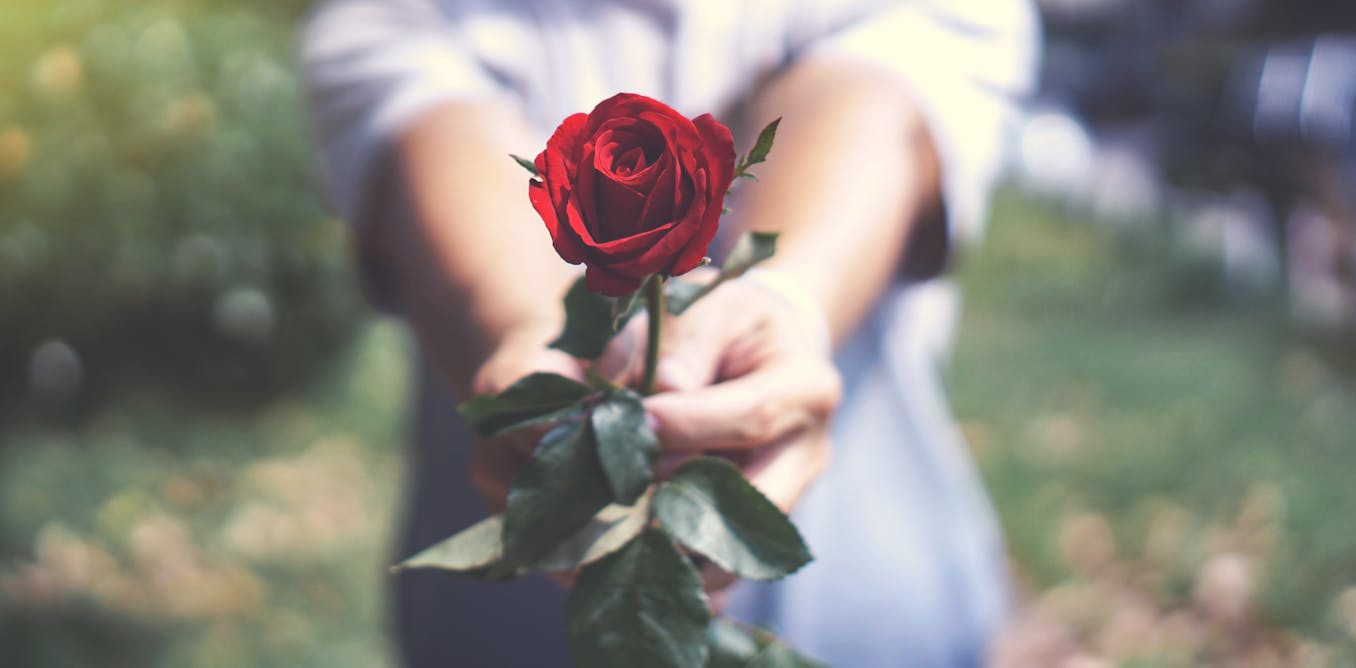 mplsoxford's tweet card. Roses don’t look beautiful by accident - humans and nature have shaped them.