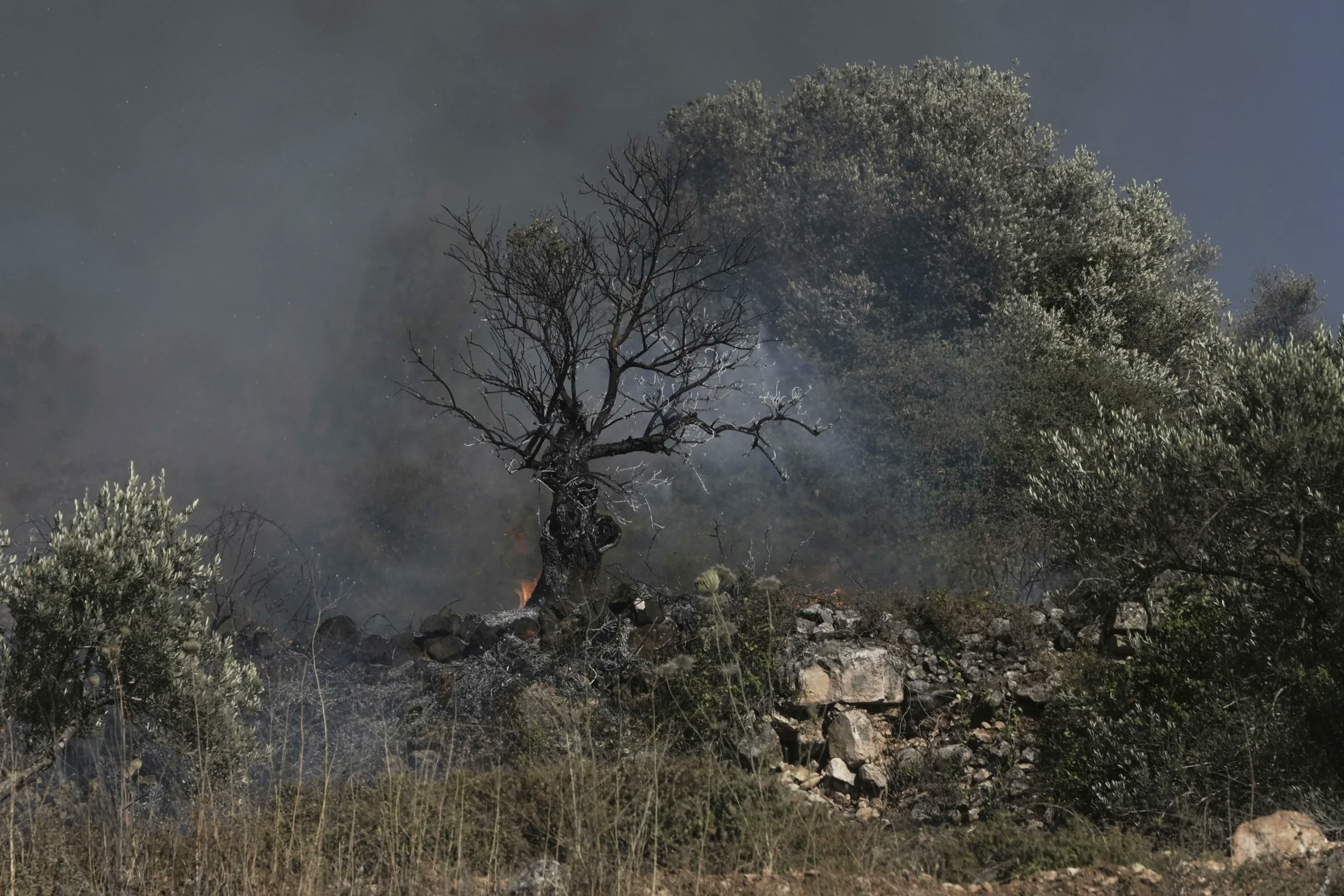Crux's tweet card. In a telephone conversation with President Mahmoud Abbas of the State of Palestine on Monday, Pope Leo XIV repeated his appeal for international humanitarian law to be fully respected. According to...