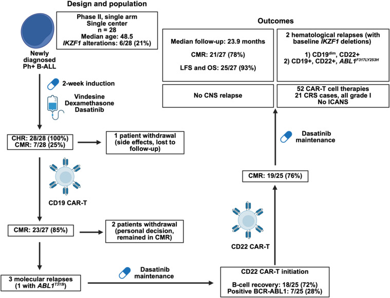 CellRepMed's tweet card. Chemotherapy-free regimens have gained increasing attention as frontline treatments for B cell acute lymphoblastic leukemia (B-ALL) due to the limitations of chemotherapy. Zhang and colleagues...