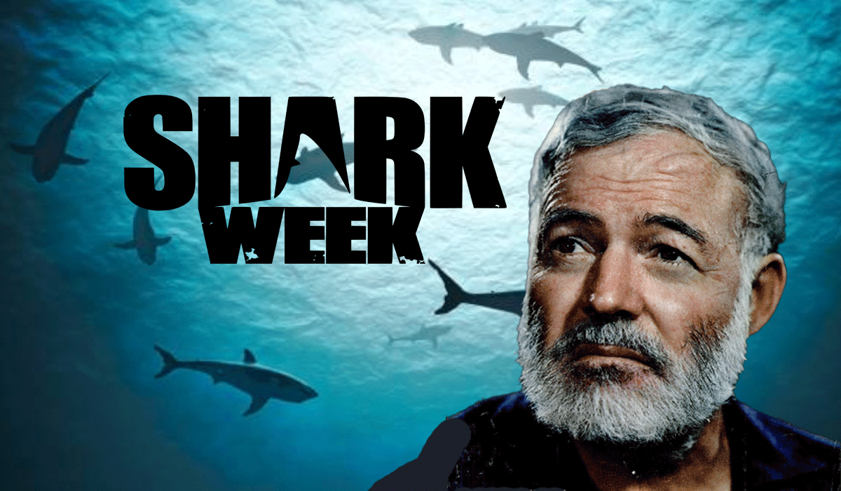 mcsweeneys's tweet card. There was a time when a man did not film the fish. You learned about the shark when you saw it break the surface. The shark is not interested in ra...