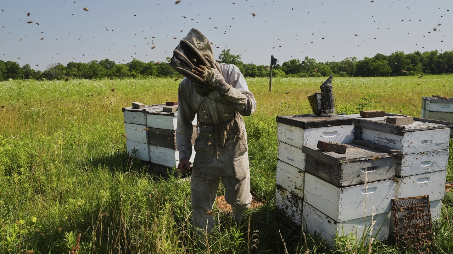 SMBNewMexico's tweet card. As global temperatures rise under climate change, the bees responsible for pollinating many crops are under increasing stress and scientists are trying to understand how they are affected.