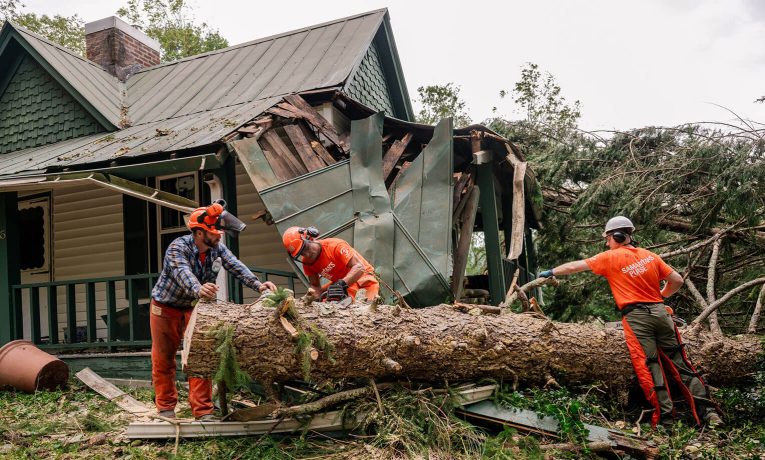 garden_marys's tweet card. The storm left a path of devastation across the Southeast, from the coast of Florida to the mountains of North Carolina.