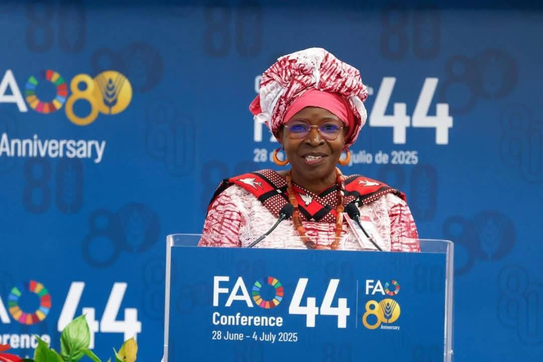 SahelStandard's tweet card. Burkina Faso has been elected to the Council of the Food and Agriculture Organisation of the United Nations (FAO). The West African nation will serve on the FAO Council from January 2027 to June...