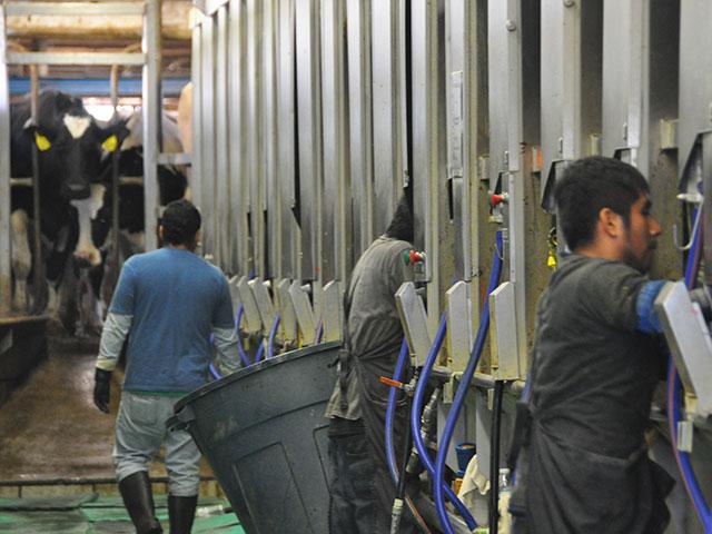 ChrisClaytonDTN's tweet card. The National Council of Agricultural Employers (NCAE) held a webinar earlier this year for its members on what farmers need to know about employment audits and what to do if there is a raid. That was...