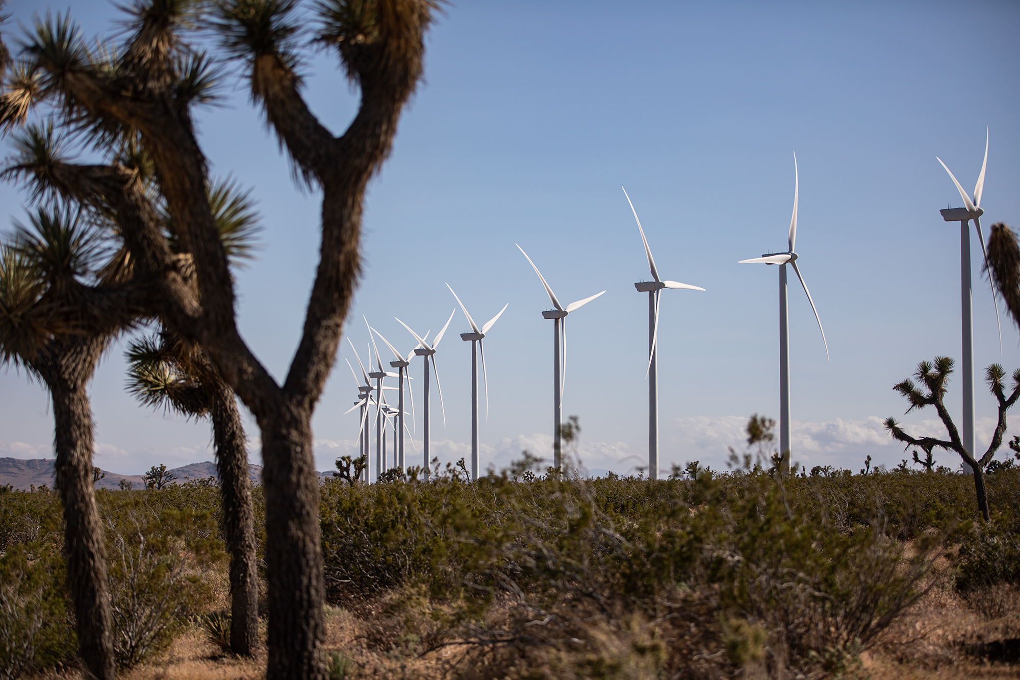 akoseff's tweet card. Clean-energy projects have new deadlines for federal tax credits and limits on foreign parts, taking aim at California’s climate agenda. Eleven solar projects and one onshore wind project now face...