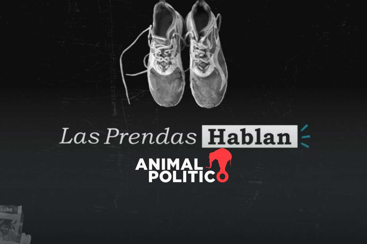 FIP_AL's tweet card. “Las Prendas Hablan”, un proyecto periodístico busca trazar el circuito de la desaparición en torno...