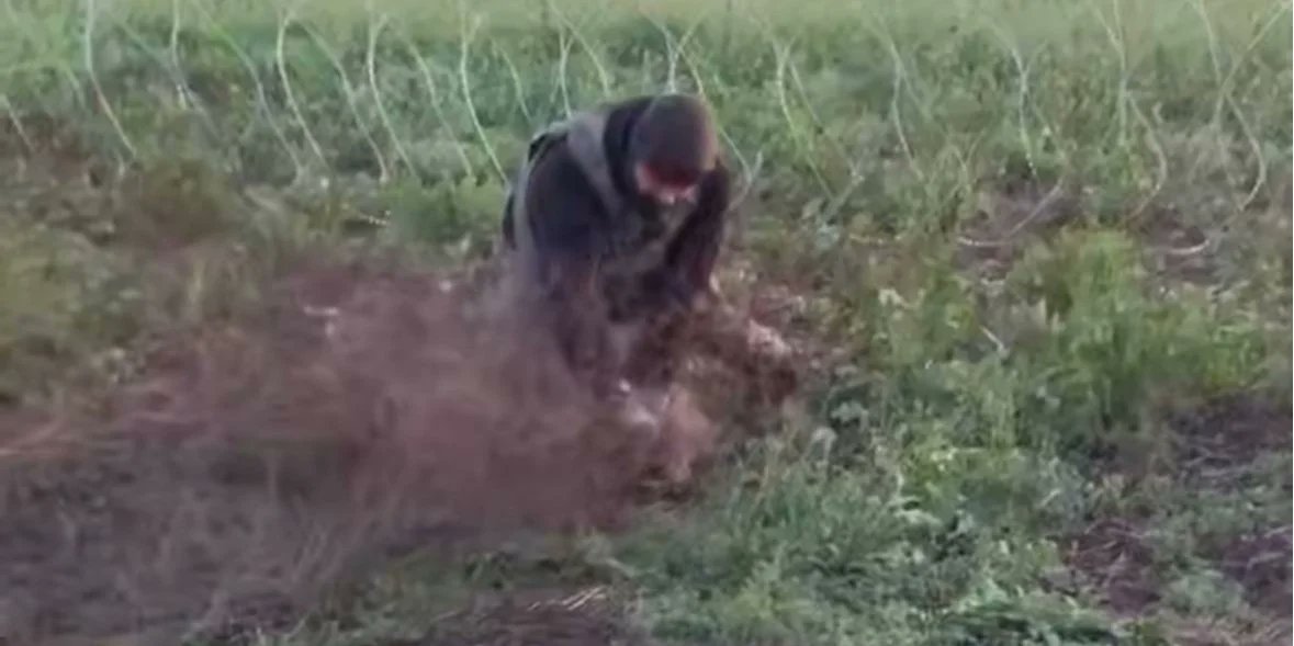 NewVoiceUkraine's tweet card. Fighters from the 60th Mechanized Brigade shared a video showing their rescue of a wild roe deer caught in barriers, according to a post on the Telegram page of the Strategic Communications Center on...