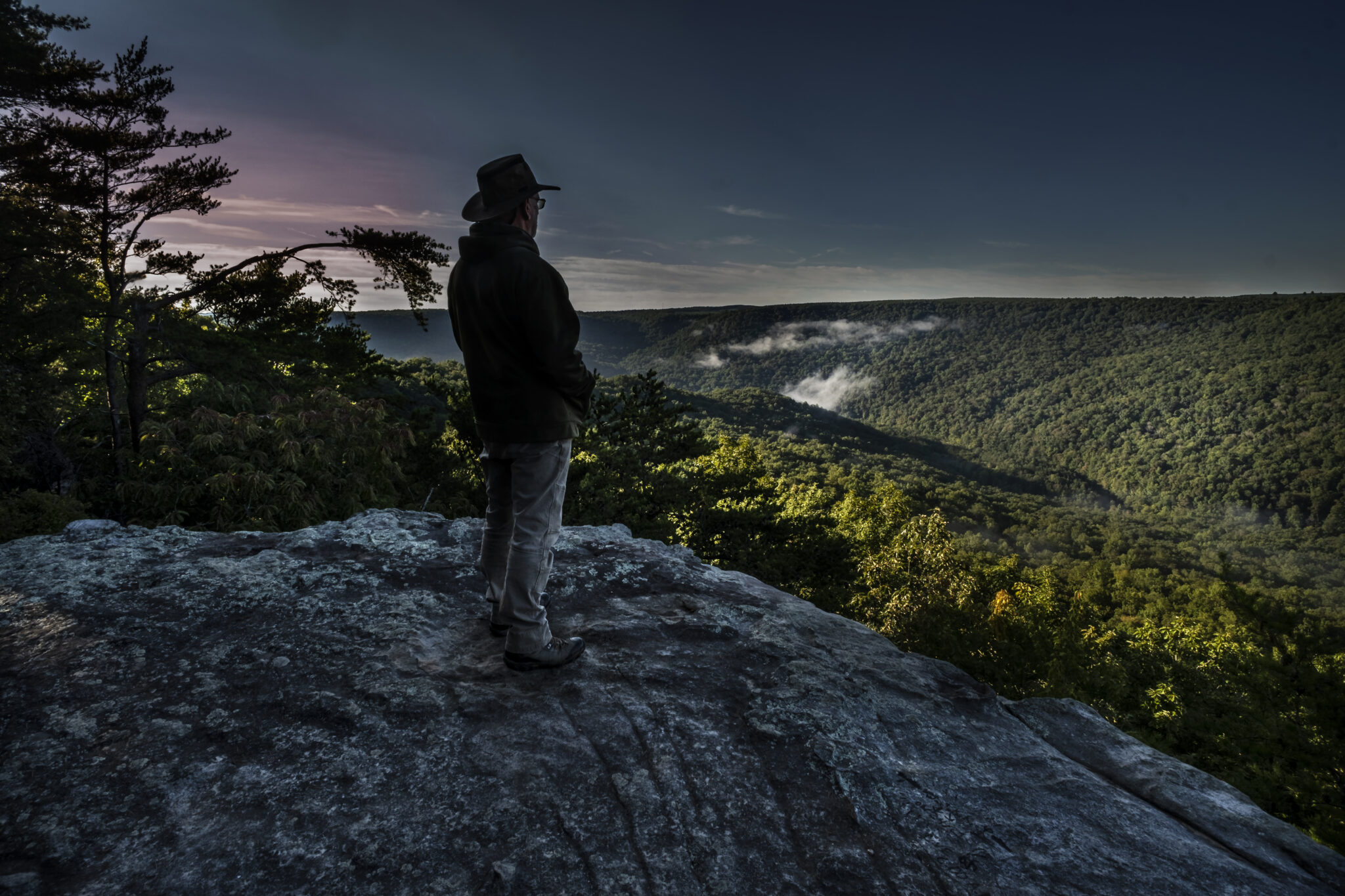 itsmelissabrown's tweet card. About 85,000 acres of backcountry in Tennessee could be opened for road construction, mining and logging under a Trump administration plan.